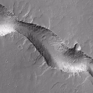 Grey volcanic plain near Olympus Mons crossed by a long fissure shaped like a gecko, seen from orbit